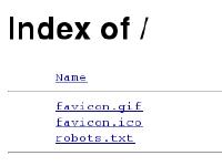 Description, favicon.ico, robots.txt  Description, favicon.ico, robots.txt