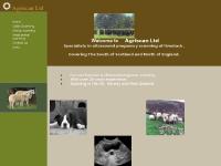 agriscan.co.uk livestock pregnancy scanning