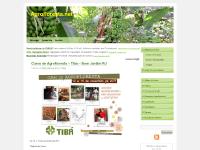 Agrofloresta.net | Sistemas Agroflorestais – SAF's Agrofloresta.net | Sistemas Agroflorestais – SAF's