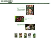 agroforestry.net agroforestry, agroforester, trees agroforestry.net agroforestry, agroforester, trees