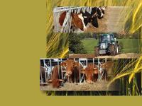 AGROTECHNIC - STALLTECHNIK VON JOURDAIN, LANDTECHNIK, FORSTTECHNIK, DACHTECHNIK UND GARTENTECHNIK