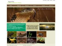 ::.Agumbe - Rainforest Research Station ::.Agumbe - Rainforest Research Station