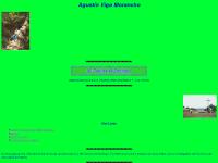 Agustín Vigo Morancho. El Camino de Santiago