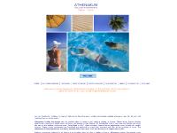 AHACyprus, Cyprus Self Catering Apartments, Paphos Holiday Rental Apartments AHACyprus, Cyprus Self Catering Apartments, Paphos Holiday Rental Apartments