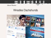 Portfolio of the illusive Ahmed Nuaman