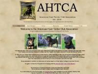 American Hunt Terrier Club Association Black and Tan Jack Russell
