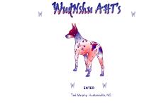 ahtdogs.com american hairless terrier, aht, rat ahtdogs.com american hairless terrier, aht, rat