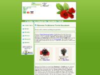 Drumcondra Florist Dublin Ireland