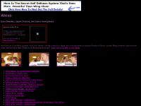 Aikido - Sweden, Japan, France. Kobayashi, Igarashi, Sugawara, Tissier, Nobuyoshi Tamura, openaikido, Kanetsuka, Mari Lehtinen, Stefan Stenudd, Urban Aldenklint, Peter Spangfort