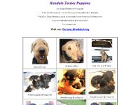 airedale-terriers-oorang.com Airedale Terrier Puppies, San Diego Airedale terrier puppies airedale-terriers-oorang.com Airedale Terrier Puppies, San Diego Airedale terrier puppies