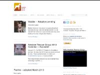 airedalerescuegroup.com Adopted ‘Dales, Fundraising, note cards and T-shirts in our store