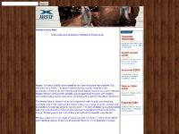 airstep.co.uk logo airstep.co.uk logo