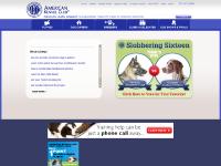 akc.org akc.org