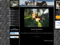 liten akkasnanook.com skjermbilde liten akkasnanook.com skjermbilde