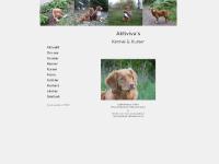 liten aktiviva.se skärmbild