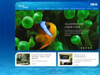 Akvarieuthyrning med akvarieservice av ditt akvarium från Akvarieleasing AB. Akvarieuthyrning med akvarieservice av ditt akvarium från Akvarieleasing AB.