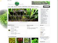 Akvarieplanter.dk - Hjem Akvarieplanter.dk - Hjem