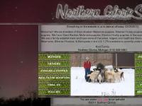 .:Northern Glories:. - Alaskan Malamutes, Siberian Huskies, and Samoyeds .:Northern Glories:. - Alaskan Malamutes, Siberian Huskies, and Samoyeds