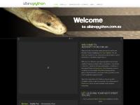 Albino Python - Australia's Amazing Albino Pythons and Snakes | Albino Snakes Pythons Gavin Bedford Darwin Australia