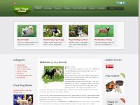 Dogs, Chihuahua Breeder, Petit Brabancon (Brussels Griffon) Breeder Dogs, Chihuahua Breeder, Petit Brabancon (Brussels Griffon) Breeder