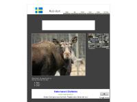 om alg-elk.se - alg-elk om alg-elk.se - alg-elk