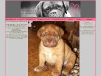 liten algojos.com skärmbild liten algojos.com skärmbild