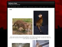 alibriscatz.com bengals, himalayans, western Nebraska alibriscatz.com bengals, himalayans, western Nebraska