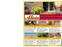 :: Guesthouse Newquay :: Alicia Guesthouse ::
