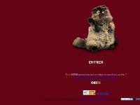 alineacat - elevage - persans - france - chat - élevage - persan - eleveur - breeding kittens alineacat - elevage - persans - france - chat - élevage - persan - eleveur - breeding kittens