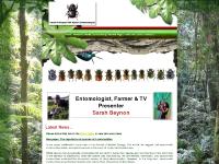 All About Insects and Beetles - Sarah Beynon Pembrokeshire Entomologist