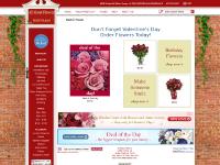 All About Flowers All About Flowers