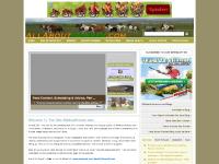 allabouthorses.com Horses, Horses for Sale, Horse Information