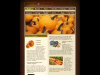 allaboutpumpkins.com Pumpkins, pumpkin, All About Pumpkins allaboutpumpkins.com Pumpkins, pumpkin, All About Pumpkins