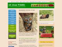allaboutwildlife.com top 10 endangered species, ten most endangered animals, which animals live in rainforests allaboutwildlife.com top 10 endangered species, ten most endangered animals, which animals live in rainforests