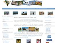 Volunteer Africa | Volunteers South Africa Lions Cubs | Community Volunteers Oppertunity | Wildlife Sanctuary Game Reserve Volunteers | Volunteering Oppertunities South Africa | Township Surfing Sports Volunteers Volunteer Africa | Volunteers South Africa Lions Cubs | Community Volunteers Oppertunity | Wildlife Sanctuary Game Reserve Volunteers | Volunteering Oppertunities South Africa | Township Surfing Sports Volunteers