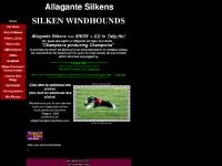 allagantesilkens.com Silken windhound, Silken Windhounds, sighthound allagantesilkens.com Silken windhound, Silken Windhounds, sighthound