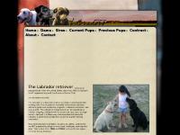 All American Labradors All American Labradors