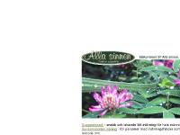 liten allasinnen.se skärmbild liten allasinnen.se skärmbild