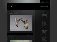 Al Lemieux Al Lemieux