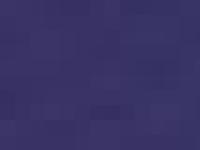  Engagemang, Årsmöte, Informationsblad nr 1, Informationsblad nr 2