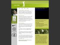 Gary Alliss - King of Swing Gary Alliss - King of Swing
