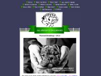 Top Quality Olde English Bulldogge Breeder in Ontario, CANADA - All Juiced Up Bulldogges - Home Top Quality Olde English Bulldogge Breeder in Ontario, CANADA - All Juiced Up Bulldogges - Home