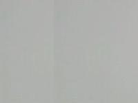 Föreningen Svenska Allmogefår Föreningen Svenska Allmogefår