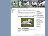 Föreningen Allmogegeten