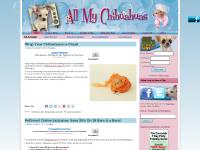 All My Chihuahuas, chihuahua information, chi tips, health, toys, reviews All My Chihuahuas, chihuahua information, chi tips, health, toys, reviews
