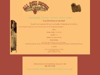 All Pets Motel All Pets Motel