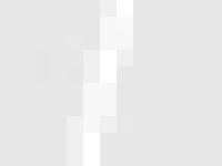 developer, development, debugger, ide  developer, development, debugger, ide