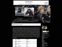 Allroundrider - Allroundrider -