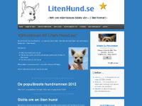 Allt Om Hundar - fakta om hundar