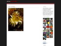  wedding photographer, arizona weddings, arizona freelance photographer, arizona